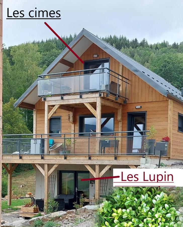 Au Chalet De Jo Muhlbach-sur-Munster Екстериор снимка