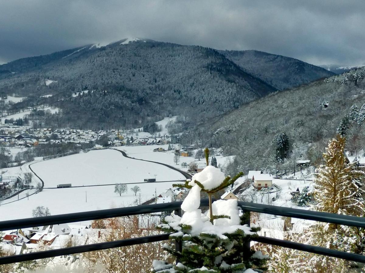 Au Chalet De Jo Muhlbach-sur-Munster Екстериор снимка